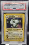 Magneton