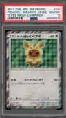 Poncho-Wearing Eevee