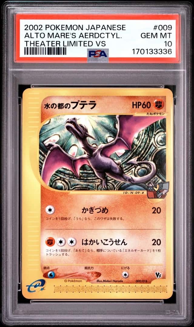 Alto Mare's Aerdctyl