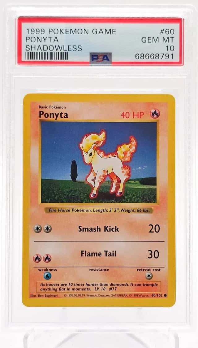 Ponyta