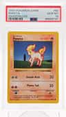 Ponyta