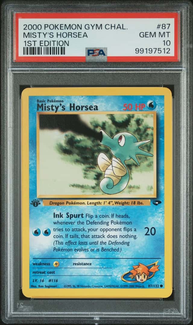 Misty's Horsea
