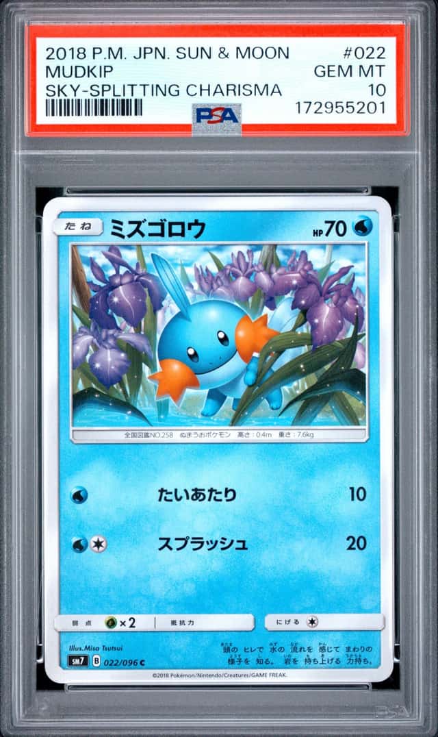 Mudkip