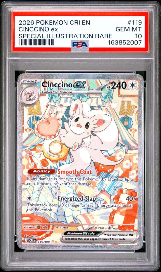 CINCCINO ex