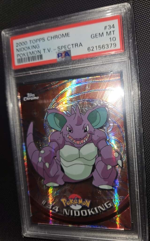 Nidoking