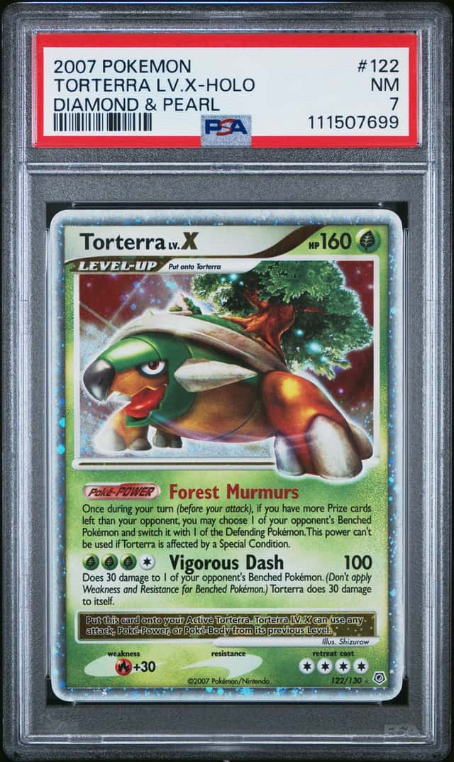Torterra Lv X