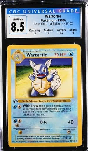 Wartortle