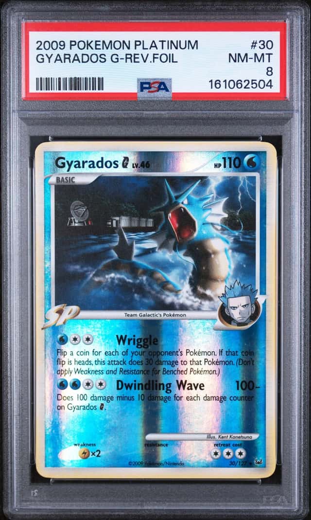Gyarados G