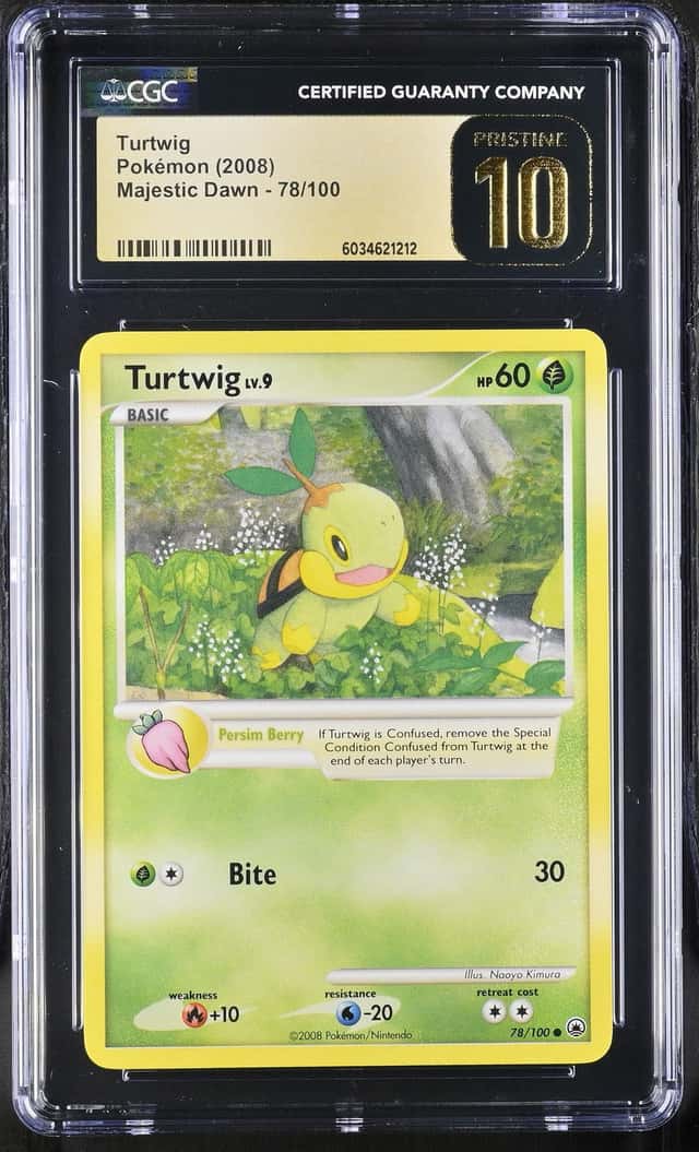 Turtwig