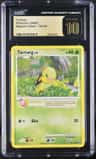 Turtwig
