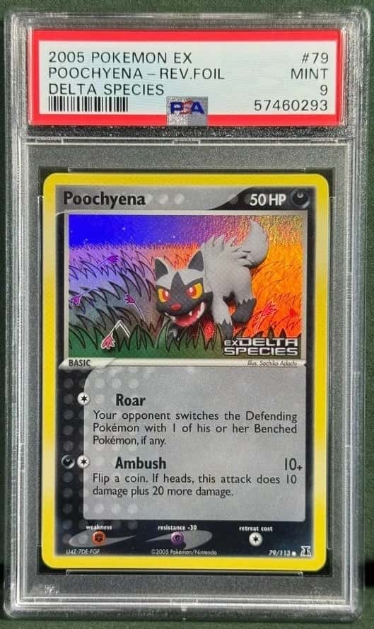 Poochyena