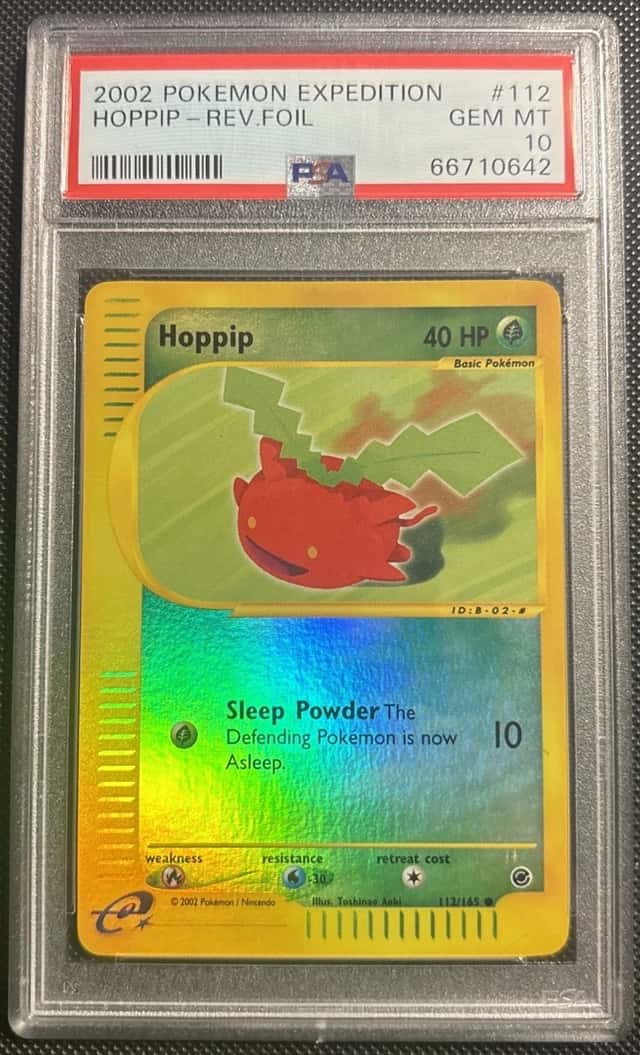 Hoppip