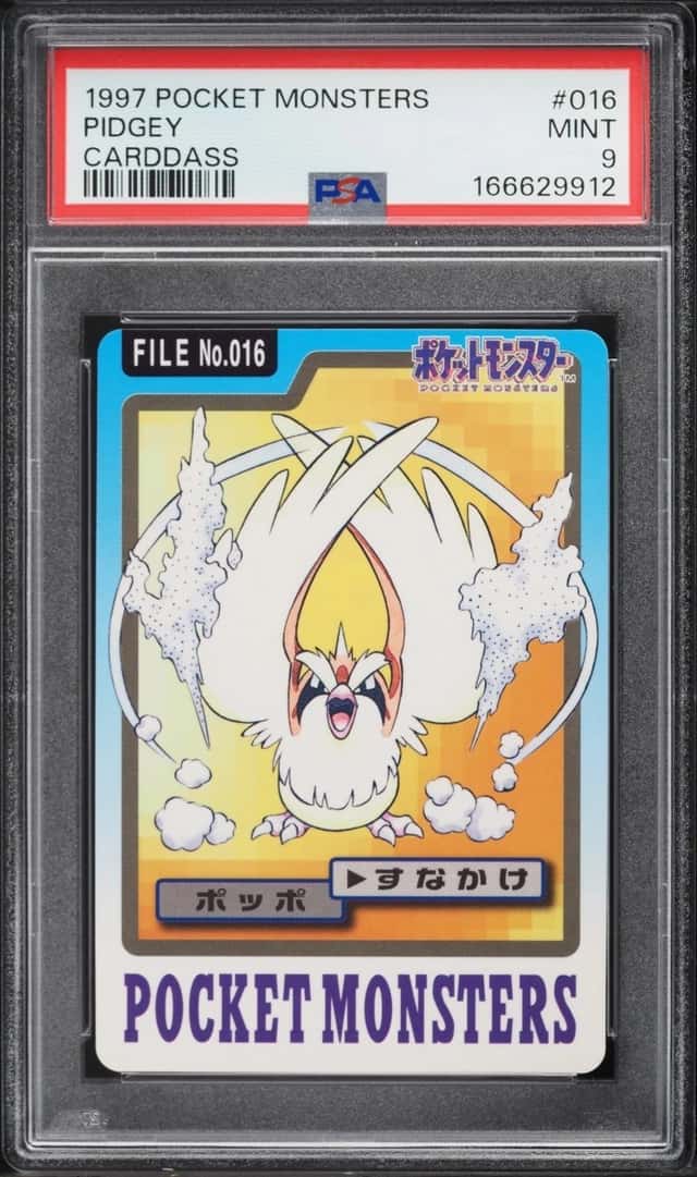 Pidgey