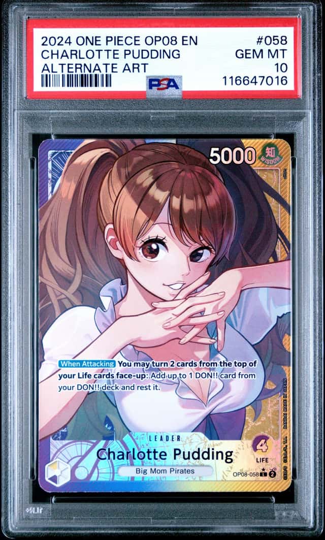 Charlotte Pudding