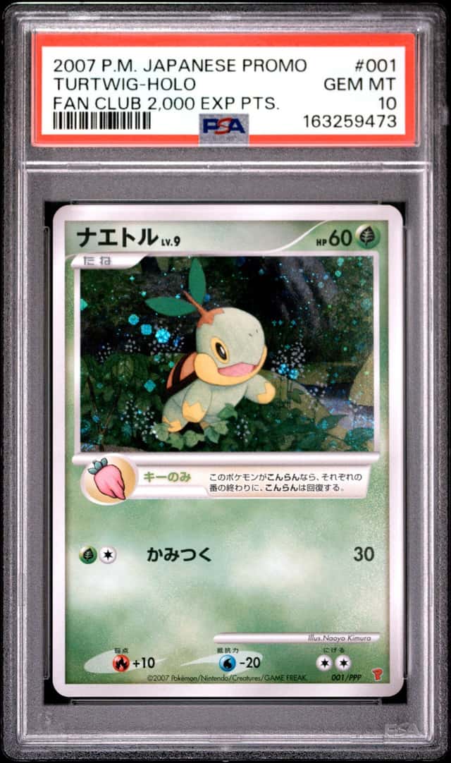 Turtwig