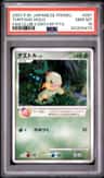 Turtwig