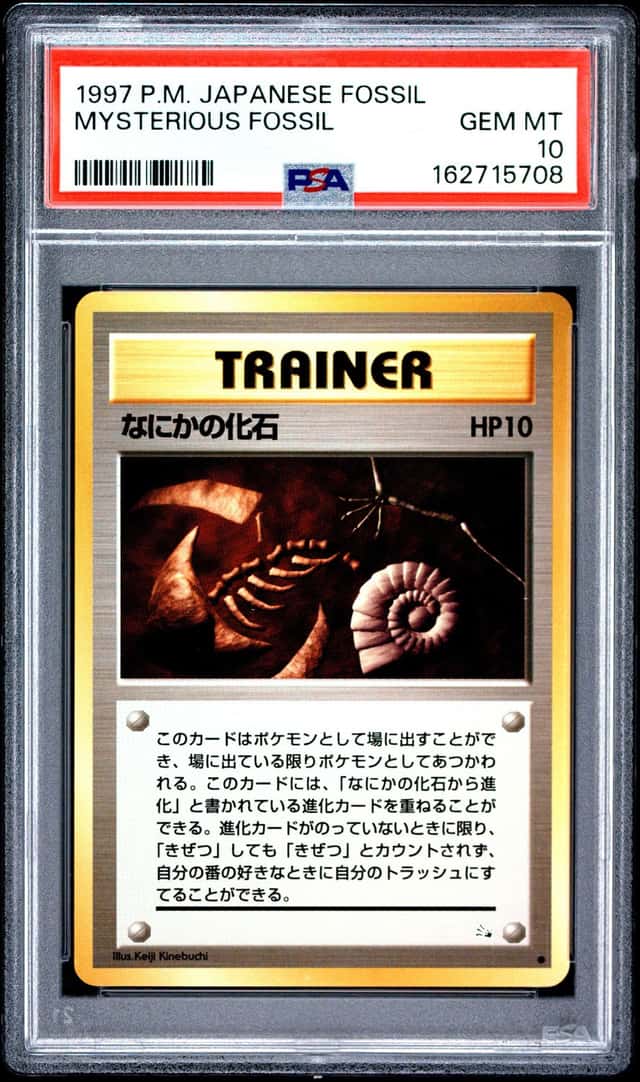 Mysterious Fossil