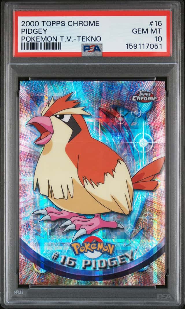 Pidgey