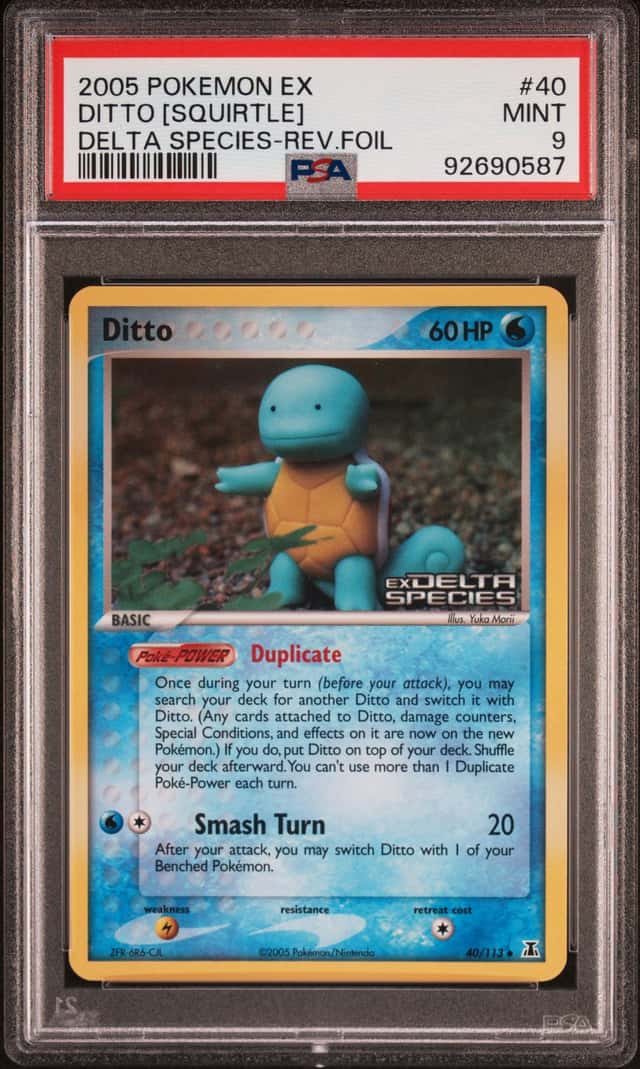Ditto [Squirtle]