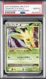 Leafeon Lv X