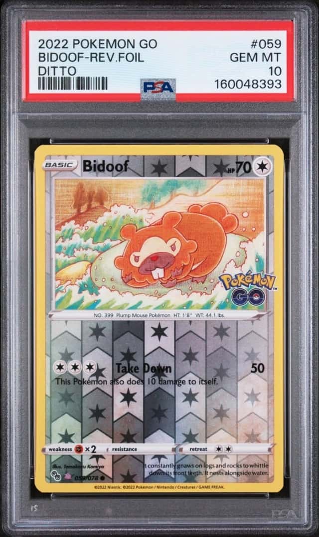 Bidoof