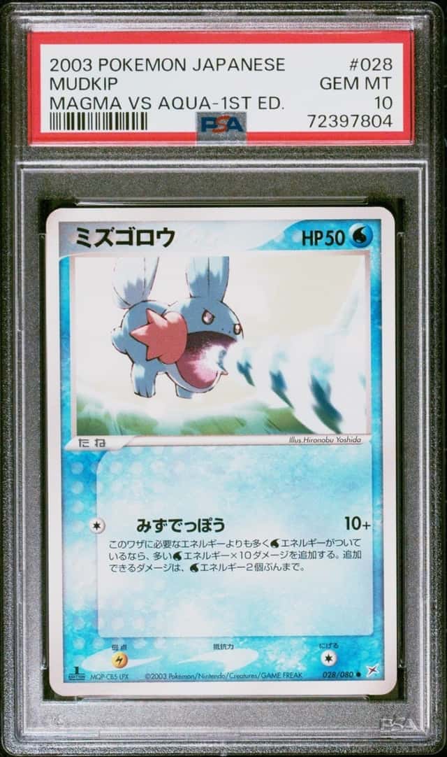Mudkip