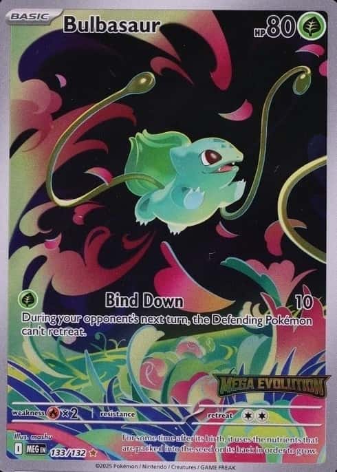 Box Topper