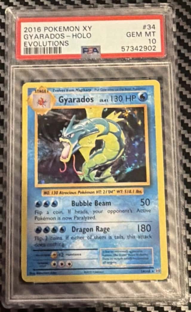 Gyarados