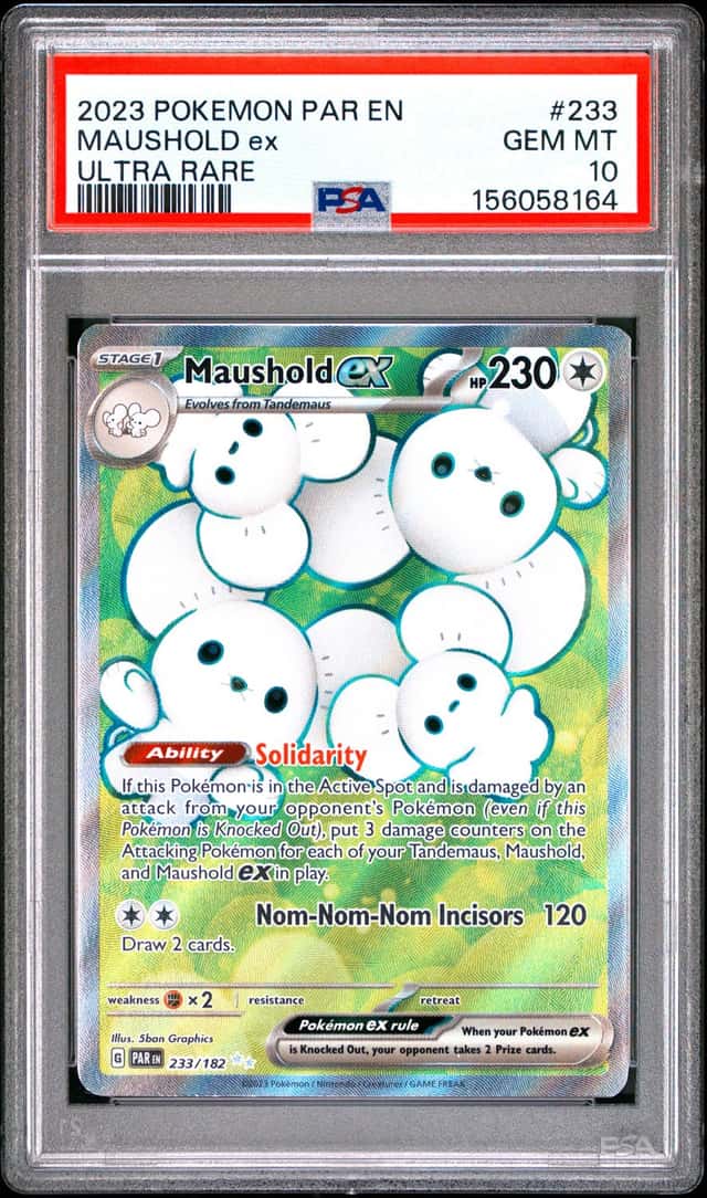 MAUSHOLD ex