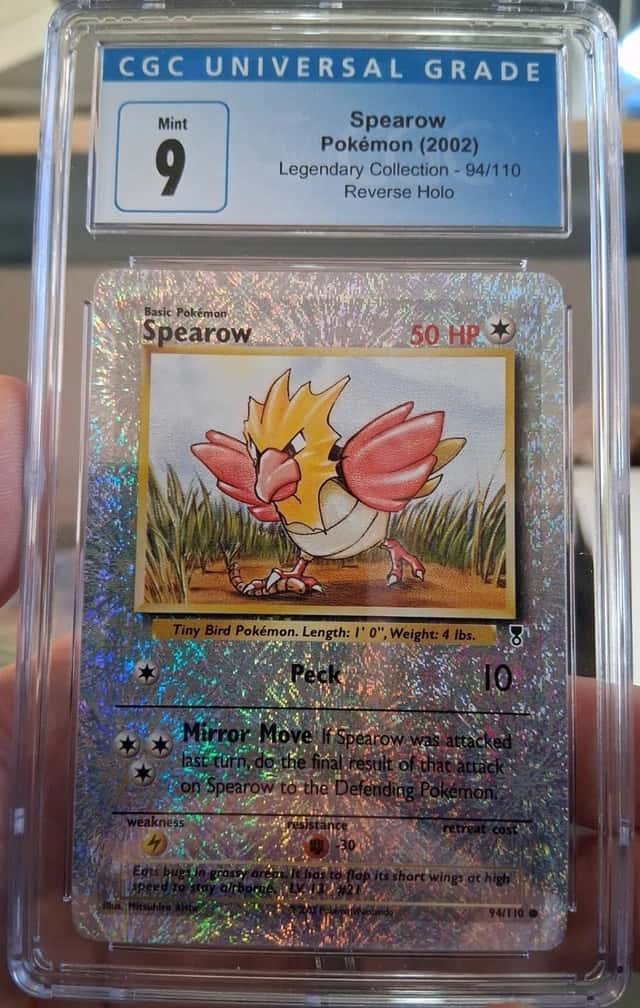 Spearow