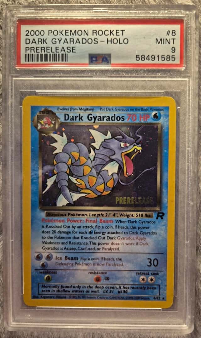 Dark Gyarados
