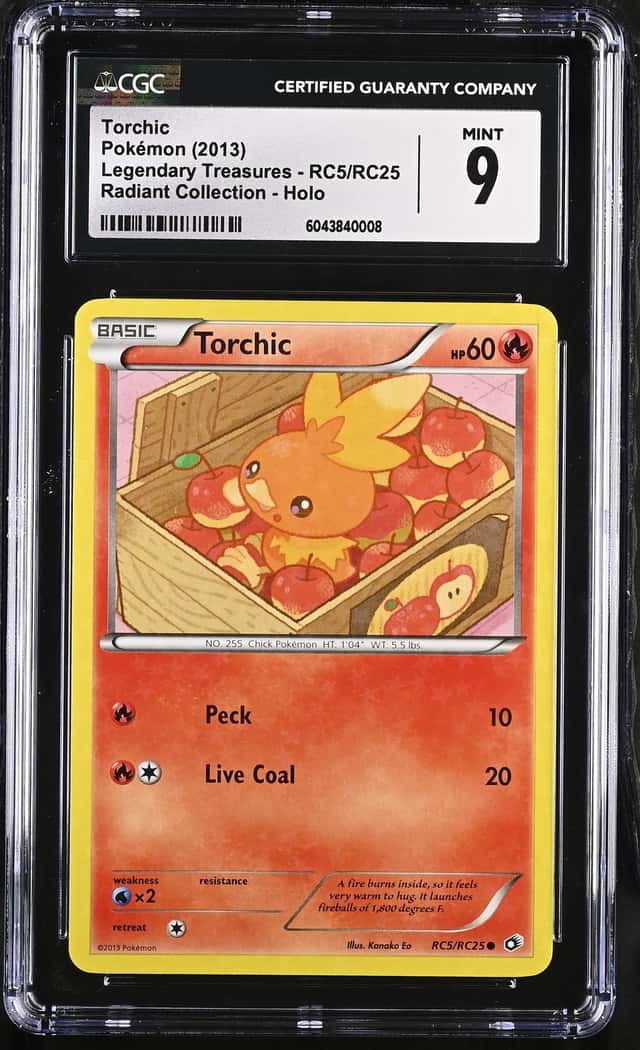 Torchic