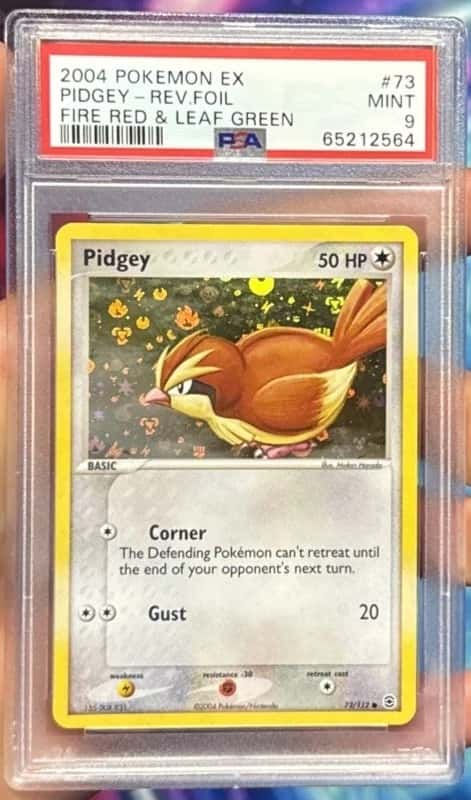 Pidgey