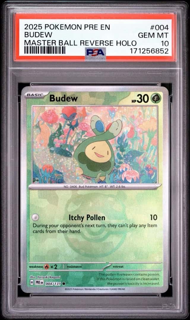Budew