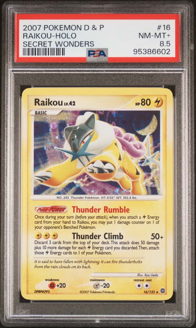 Raikou