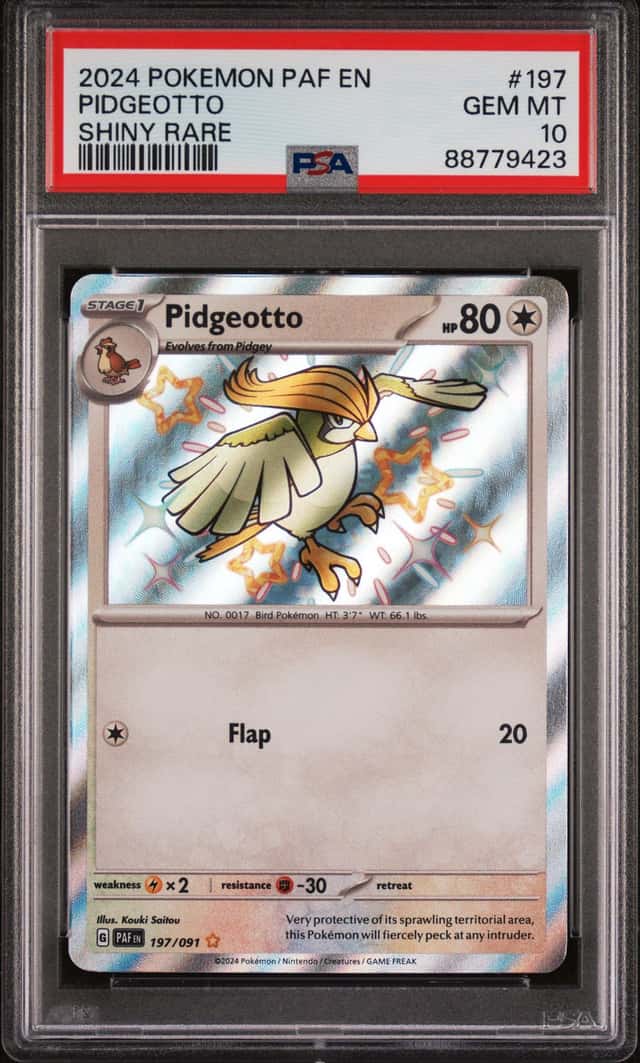 Pidgeotto