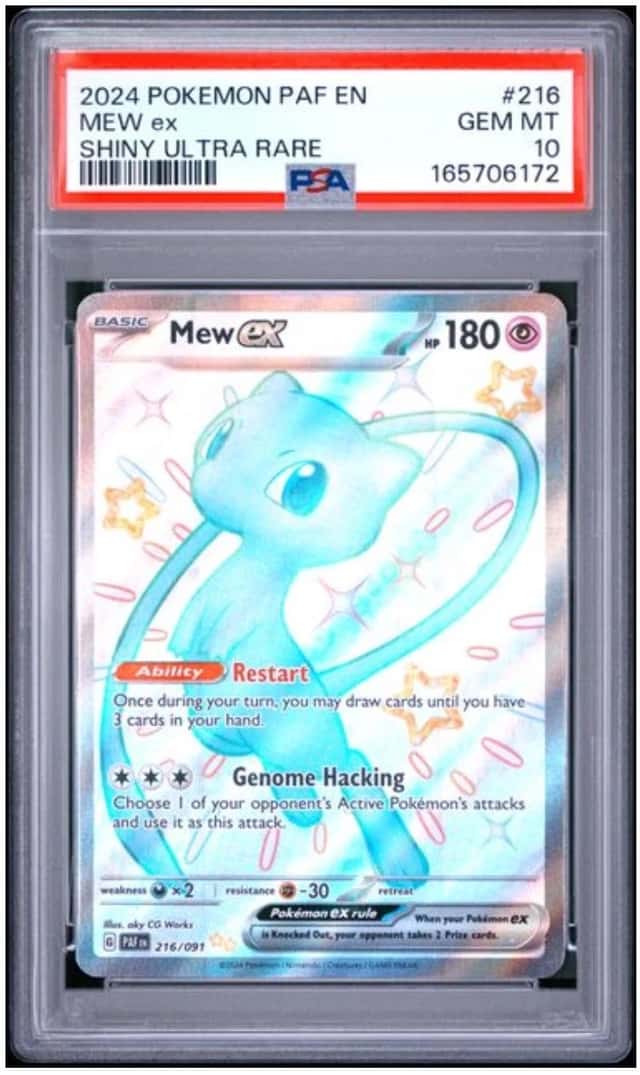 MEW ex