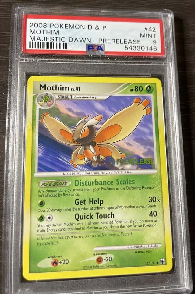Mothim