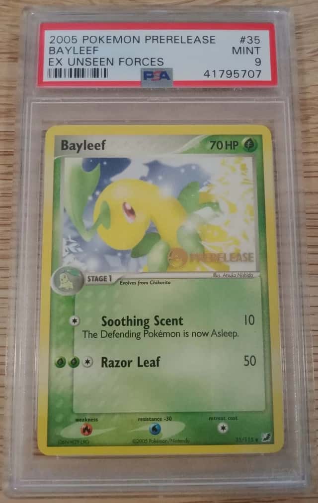 Bayleef