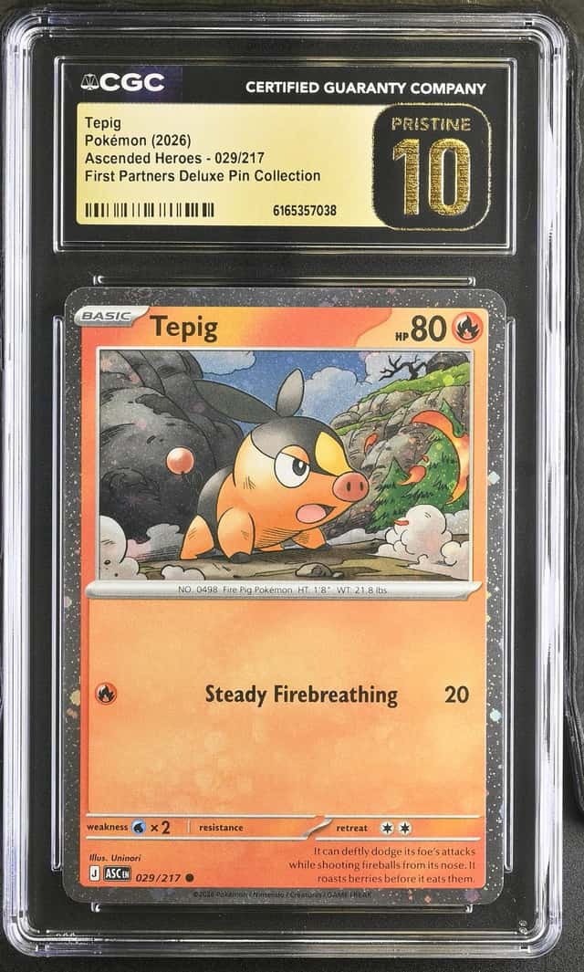 Tepig