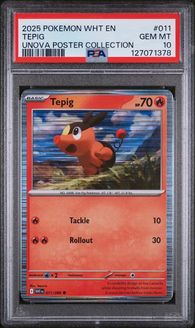 Tepig