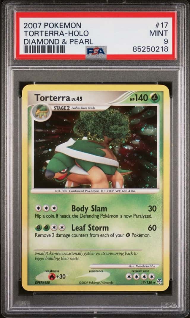 Torterra