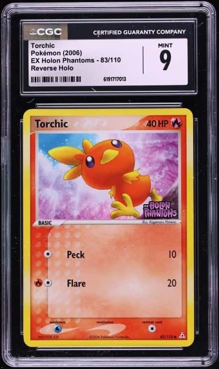 Torchic