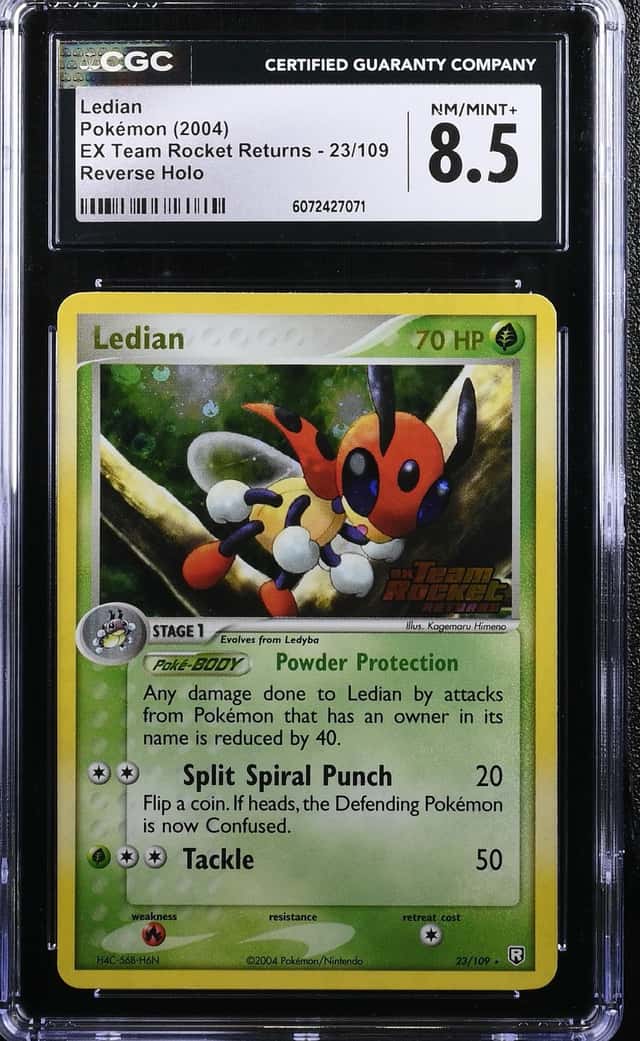 Ledian