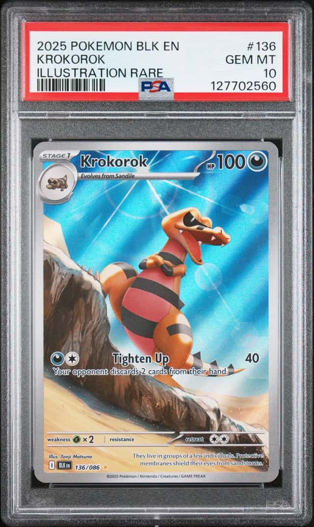 Krokorok