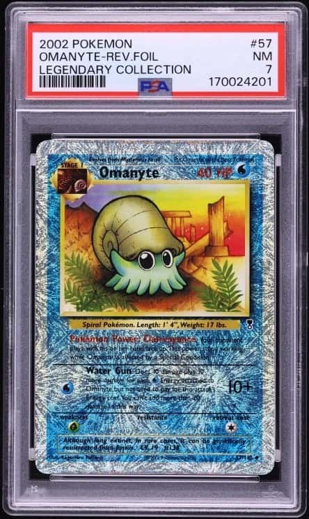 Omanyte