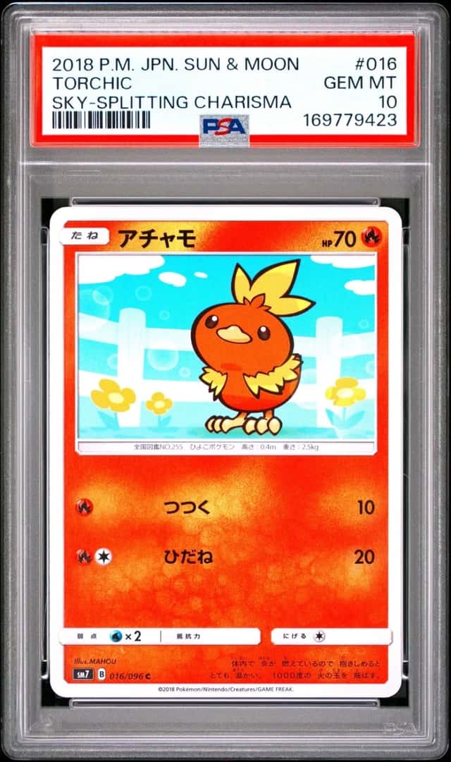 Torchic