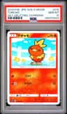 Torchic