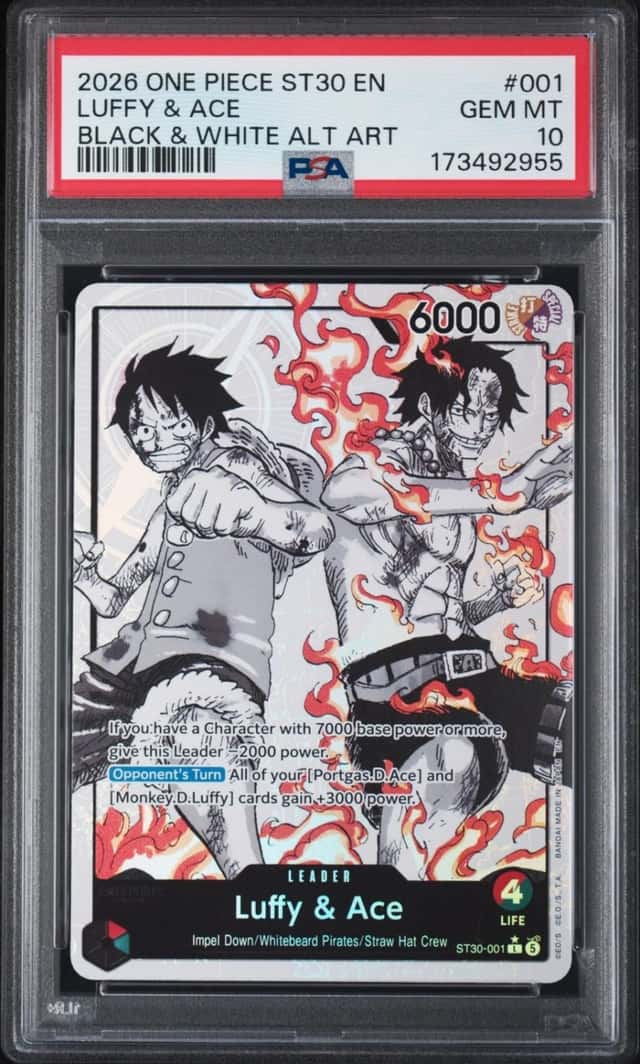Luffy & Ace