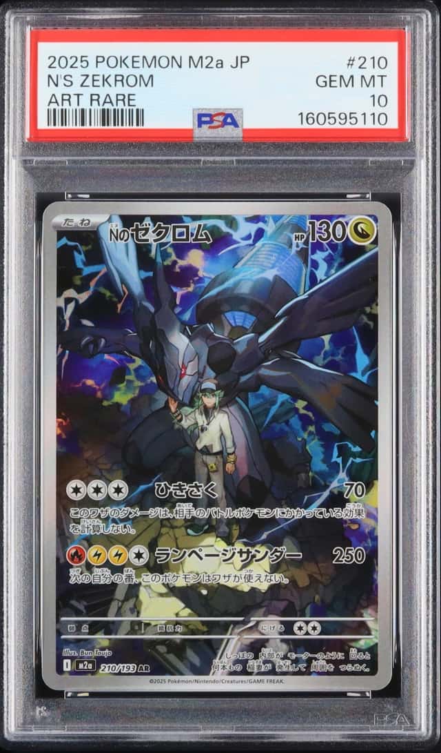 N's Zekrom